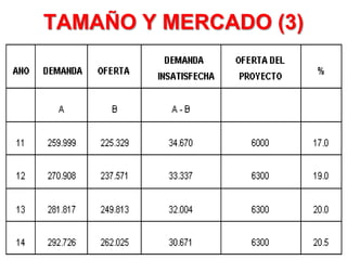 TAMAÑO Y MERCADO (3)
 