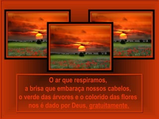 O ar que respiramos,
a brisa que embaraça nossos cabelos,
o verde das árvores e o colorido das flores
nos é dado por Deus, gratuitamente.
 