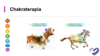 Chakraterapia
 