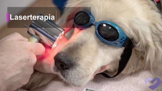 Laserterapia
 