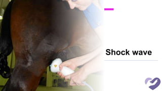 Shock wave
 
