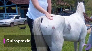 Quiropraxia
 