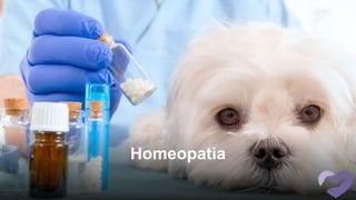 Homeopatia
 