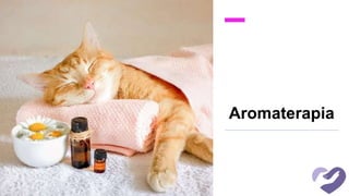Aromaterapia
 