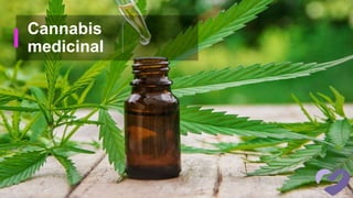 Cannabis
medicinal
 