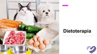Dietoterapia
 