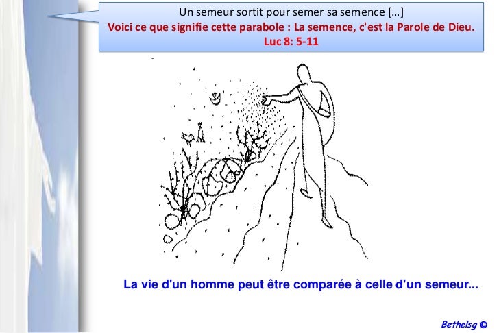 Que Signifie Un Déluge De Paroles