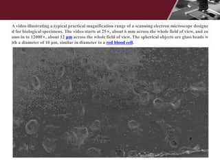 A video illustrating a typical practical magnification range of a scanning electron microscope designe
d for biological specimens. The video starts at 25×, about 6 mm across the whole field of view, and zo
oms in to 12000×, about 12 μm across the whole field of view. The spherical objects are glass beads w
ith a diameter of 10 μm, similar in diameter to a red blood cell.
 