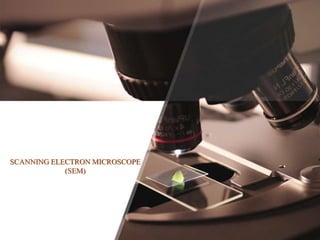 SCANNING ELECTRON MICROSCOPE
(SEM)
 