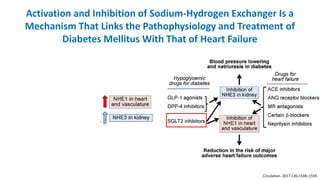 Activation and Inhibition of Sodium-Hydrogen Exchanger Is a
Mechanism That Links the Pathophysiology and Treatment of
Diab...