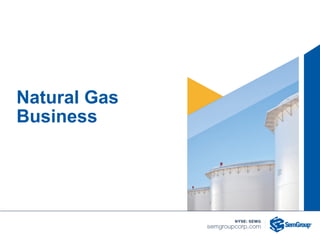 Natural Gas
Business
 