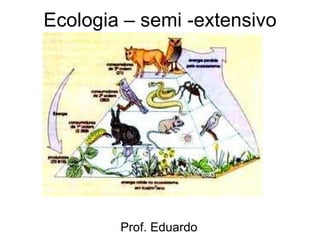 Ecologia – semi -extensivo Prof. Eduardo 