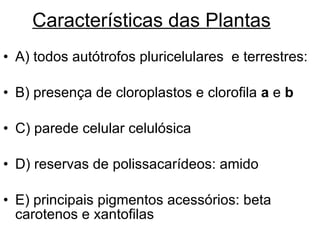 Características das Plantas A) todos autótrofos pluricelulares  e terrestres: B) presença de cloroplastos e clorofila  a  e  b C) parede celular celulósica D) reservas de polissacarídeos: amido E) principais pigmentos acessórios: beta carotenos e xantofilas 