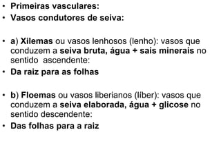 Primeiras vasculares: Vasos condutores de seiva: a )  Xilemas  ou vasos lenhosos (lenho): vasos que conduzem a  seiva bruta, água + sais minerais  no sentido  ascendente: Da raiz para as folhas b )  Floemas  ou vasos liberianos (líber): vasos que conduzem a  seiva elaborada, água + glicose  no sentido descendente: Das folhas para a raiz 