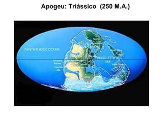 Apogeu: Triássico  (250 M.A.) 