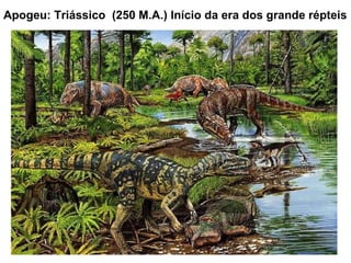 Apogeu: Triássico  (250 M.A.) Início da era dos grande répteis 