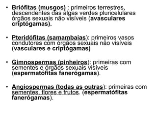 Briófitas (musgos)  : primeiros terrestres, descendentes das algas verdes pluricelulares órgãos sexuais não visíveis ( avasculares criptógamas). Pteridófitas (samambaias ): primeiros vasos condutores com órgãos sexuais não visíveis ( vasculares e criptógamas) Gimnospermas (pinheiros ): primeiras com sementes e órgãos sexuais visíveis ( espermatófitas fanerógamas ). Angiospermas (todas as outras ): primeiras com  sementes, flores e frutos . ( espermatófitas fanerógamas ). 