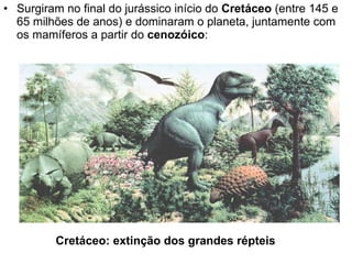 Surgiram no final do jurássico início do  Cretáceo  (entre 145 e 65 milhões de anos) e dominaram o planeta, juntamente com os mamíferos a partir do  cenozóico : Cretáceo: extinção dos grandes répteis 