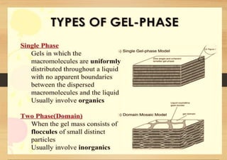 SEMI-SOLID DOSAGE FORMS gels and creams