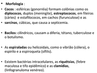 • Morfologia :
• Cocos : esféricas (gonorréia) formam colônias como os
diplococos, duplos (meningite), estreptococos, em fileiras
(cáries) e estafilococos, em cachos (furunculose) e as
• sarcínas, cúbicas, que causa a septicemia.
• Bacilos: cilíndricos, causam a diferia, tétano, tuberculose e
o botulismo.
• As espiraladas ou helicoidais, como o vibrião (cólera), o
espirilo e a espiroqueta (sífilis).
• Existem bactérias intracelulares, as riquétsias, (febre
maculosa e tifo epidêmico) e as clamídias,
(linfogranuloma venéreo).
 