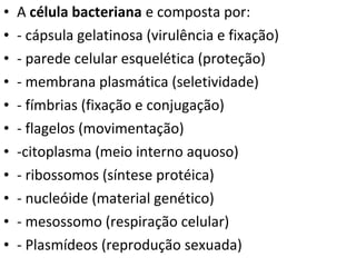 • A célula bacteriana e composta por:
• - cápsula gelatinosa (virulência e fixação)
• - parede celular esquelética (proteção)
• - membrana plasmática (seletividade)
• - fímbrias (fixação e conjugação)
• - flagelos (movimentação)
• -citoplasma (meio interno aquoso)
• - ribossomos (síntese protéica)
• - nucleóide (material genético)
• - mesossomo (respiração celular)
• - Plasmídeos (reprodução sexuada)
 