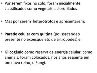 • Por serem fixos no solo, foram inicialmente
classificados como vegetais. aclorofilados
• Mas por serem heterótrofos e apresentarem:
• Parede celular com quitina (polissacarídeo
presente no exoesqueleto de artrópodes) e
• Glicogênio como reserva de energia celular, como
animais, foram colocados, nos anos sessenta em
um novo reino, o Fungi.
 