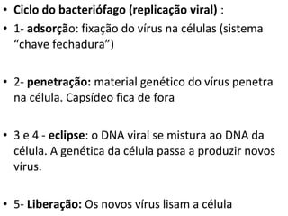 • Ciclo do bacteriófago (replicação viral) :
• 1- adsorção: fixação do vírus na células (sistema
“chave fechadura”)
• 2- penetração: material genético do vírus penetra
na célula. Capsídeo fica de fora
• 3 e 4 - eclipse: o DNA viral se mistura ao DNA da
célula. A genética da célula passa a produzir novos
vírus.
• 5- Liberação: Os novos vírus lisam a célula
 