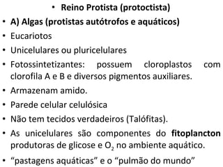 • Reino Protista (protoctista)
• A) Algas (protistas autótrofos e aquáticos)
• Eucariotos
• Unicelulares ou pluricelulares
• Fotossintetizantes: possuem cloroplastos com
clorofila A e B e diversos pigmentos auxiliares.
• Armazenam amido.
• Parede celular celulósica
• Não tem tecidos verdadeiros (Talófitas).
• As unicelulares são componentes do fitoplancton
produtoras de glicose e O2 no ambiente aquático.
• “pastagens aquáticas” e o “pulmão do mundo”
 