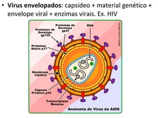 • Vírus envelopados: capsídeo + material genético +
envelope viral + enzimas virais. Ex. HIV
 