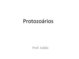 Protozoários
Prof. tubão
 