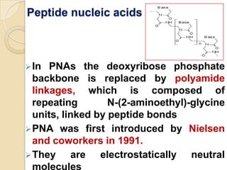 Peptide nucleic acids



 In  PNAs the deoxyribose phosphate
  backbone is replaced by polyamide
  linkages, which is composed of
  repeating        N-(2-aminoethyl)-glycine
  units, linked by peptide bonds
 PNA was first introduced by Nielsen
  and coworkers in 1991.
 They     are electrostatically neutral
  molecules
 