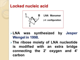 Locked nucleic acid




 LNA   was synthesized by Jesper
  Wengel in 1998.
 The ribose moiety of LNA nucleotide
  is modified with an extra bridge
  connecting the 2' oxygen and 4'
  carbon
 