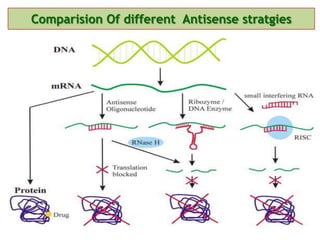 Comparision Of different Antisense stratgies
 