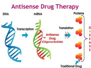 Antisense Drug Therapy
 