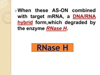 When  these AS-ON combined
with target mRNA, a DNA/RNA
hybrid form,which degraded by
the enzyme RNase H.



        RNase H
 