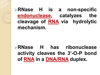 RNase  H is a non-specific
endonuclease, catalyzes the
cleavage of RNA via hydrolytic
mechanism.


RNase    H has ribonuclease
activity cleaves the 3’-O-P bond
of RNA in a DNA/RNA duplex.
 
