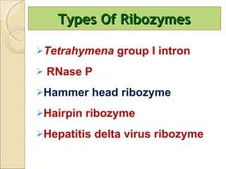 Types Of Ribozymes Tetrahymena  group I intron RNase P Hammer head ribozyme Hairpin ribozyme  Hepatitis delta virus ribozyme 