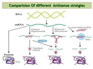 Comparision Of different  Antisense stratgies 