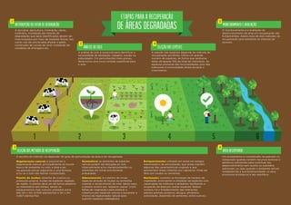 A pecuária, agricultura, mineração, obras,
incêndios, inundação são fatores de
degradação que após identiﬁcados devem ser
interrompidos por meio de medidas físicas, tais
como: uso de cercas para afastar o gado;
construção de curvas de nível; instalação de
canaletas de drenagem etc.
Interrupção do fator de degradação
1
Monitoramento e avaliação
5
Área recuperada
6
Análise do solo
2
Seleção das espécies
4
Seleção dos métodos de recuperação
3
ETAPAS PARA A RECUPERAÇÃO
DE ÁREAS DEGRADADAS
A análise do solo é essencial para identiﬁcar a
necessidade de adubação, calagem, aração ou
subsolagem. Em perturbações mais graves,
desenvolva uma nova camada superﬁcial para
o solo.
Regeneração natural: é possível ter a
regeneração natural, principalmente se houver
banco de sementes no solo, a área a ser
recuperada estiver adjacente a uma ﬂoresta
e/ou se o solo não estiver compactado.
Plantio de mudas: obtenha de viveiros ou
produção própria, mudas de espécies vegetais
da região. O plantio deve ser de forma aleatória
ou sistemática (em linhas), sendo os
espaçamentos mais comuns utilizados entre
elas 2m x 2m (2.500 plantas/ha) e 3m x 2m
(1.667 plantas/ha).
A seleção das espécies depende do método de
recuperação escolhido. Utilize um grande
número de espécies, de forma que nenhuma
delas ultrapasse 15% do total de indivíduos. As
espécies pioneiras são recomendadas, pois são
tolerantes à luminosidade direta durante o
crescimento.
O monitoramento e a avaliação do
desenvolvimento da área em recuperação são
fundamentais. Adote mais de dois métodos de
recuperação para aumentar as chances de
sucesso.
Um ecossistema é considerado recuperado ou
restaurado quando contém recursos bióticos e
abióticos suﬁcientes para continuar seu
desenvolvimento sem auxílio ou subsídios
adicionais, ou seja, quando o ambiente estiver
restabelecido a sua biodiversidade, os seus
processos ecológicos e seu equilíbrio.
Semeadura: as sementes de espécies
nativas podem ser lançadas ao solo
(manualmente e/ou mecanicamente) ou
plantadas em linhas previamente
preparadas.
Adensamento: é o plantio de novas
espécies através de mudas ou sementes
visando o recobrimento do solo. Neste caso,
o plantio ocorre nos “espaços vazios” (com
falhas de vegetação) para acelerar a
cobertura por espécies nativas e aumentar a
chance da regeneração natural para
suprimir espécies indesejáveis.
Enriquecimento: utilizado em áreas em estágio
intermediário de perturbação, que ainda mantêm
algumas das características originais e que
apresentam áreas cobertas por capoeiras. Pode ser
feito por mudas ou sementes.
Nucleação: consiste na formação de núcleos de
vegetação, priorizando a utilização de espécies com
capacidade de melhorar o ambiente, facilitando a
ocupação da área por outras espécies. Nestes
núcleos, há o fortalecimento das interações
plantas-animais (poleiros, abrigos, alimentos,
polinização, dispersão de sementes, entre outros).
A escolha do método vai depender do grau de perturbação da área a ser recuperada.
1 2 3 4 5 6
Análise do solo
 