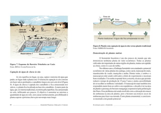 96 Semiárido Piauiense: Educação e Contexto
Figura 7. Esquema do Barreiro Trincheira ou Caxio
Fonte: IRPAA/ Ivomá Pereira de Sá.
Captação de água de chuva in situ
In situ significa no lugar, ou seja, captar o máximo de água que
puder, no lugar onde a planta está. O sistema de captação in situ consiste
em fazer sulcos profundos e camalhões largos em curva de nível (Figura
8). A água da chuva é captada dos camalhões e fica armazenada nos
sulcos, e a planta fica localizada na base dos camalhões.Amaior parte da
água,que,nosistematradicional,escorreriapelasuperfície,ficaarmazenada
no solo, infiltrando aos poucos. O objetivo é aumentar ao máximo a
quantidade de água no solo, sem causar encharcamento, possibilitando à
planta esperar a próxima chuva por um tempo mais longo.
97
Figura 8. Plantio com captação de água in situ versus plantio tradicional
Fonte: EMBRAPASemiárido.
Domesticação de plantas nativas
O Semiárido brasileiro é um dos poucos do mundo que não
domesticou nenhuma planta de valor econômico. Todas as plantas
cultivadassãoimportadasdeoutrasregiõesdoplaneta,muitassemaptidão
ao clima, como é o caso do milho.
Nosúltimosanos,aEmbrapaSemiáridovemestudandoopotencial
econômicodeváriasplantasdacaatinga,comocaroá,maracujádomato,
mamãozinho de veado, maniçoba e umbu. Dentre todas, o umbu e o
maracujá já estão sendo cultivados a título de experimento e mostram
bons resultados. Um umbu responde bem a enxertia, técnica que permite
reduzir o tempo de produção de 15 para 5 anos e ainda a possibilidade
de se escolher as melhores variedades. O maracujá do mato também tem
respondido muito bem ao cultivo em espaldeiras; o desafio é ter na área
deplantioapresençadobesouromangangá,responsávelpelapolinização
dasflores.Esseproblemaestásendoresolvidocomacolocaçãodeestacas
de umburana na área de plantio, pois o besouro usa troncos secos de
umburana para fazer sua morada. Como planta ornamental, o caroá tem-
se mostrado com grande potencial.
Tecnologias para o Semiárido
 