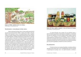 98 Semiárido Piauiense: Educação e Contexto
Figura 9. Mulher colhendo frutos na caatinga
Fonte: IRPAA/ Ivomá Pereira de Sá.
Beneficiamento e comercialização de frutas nativas
Oaproveitamentodasfrutasnativaséoutrograndepotenciallocal
que precisa ser desenvolvido. Colher e vender, por exemplo, o fruto do
umbu ou do maracujá in natura é um grande prejuízo para as famílias
coletoras.Agrandevantagemestánaindustrializaçãodessesfrutos(Figura
10).Tradicionalmente,asfamíliasjátransformavamfrutasnativasecultivadas
em doces, geleias e sucos para o consumo doméstico e um pouco para
vendernasfeiraslivres.Umsacodessasfrutas,vendidoaR$10,00,quando
industrializado, rende R$ 130,00 para a família – 13 vezes superior ao
montantearrecadadocomvendadofrutofresco.Alémdeagregarvalorà
produção,obeneficiamentopossibilitaarmazenaralimentosparaosmeses
de entressafra, contribuindo para a segurança alimentar das famílias. A
construção de mini fábricas para produção de polpa de frutas, frutas
desidratadasemuitosoutrosprodutosnascomunidadespermiteacriação
de empregos não agrícolas na zona rural, reduzindo a necessidade de
migração em massa dos jovens para a cidade em busca de emprego.
99
Figura 10. Doces, geléias, compotas e sucos de frutas da Caatinga
Fonte: IRPAA/ Ivomá Pereira de Sá.
A comercialização, que sempre foi um obstáculo para o
desenvolvimentodasiniciativascomerciaisdascomunidades,évistadeoutra
óticaquenãoacapitalista.Aeconomiasolidária,naqualosgruposcooperam
entre si e não competem, tem possibilitado o desenvolvimento do
empreendedorismosustentáveldessascomunidades.Cresce,acadadia,o
númerodeconsumidorespreocupadosemfazerumconsumoconsciente,e
osprodutosdoextrativismovêmaoencontrodessanecessidadedomercado,
porseremdeboaqualidadeeproduzidosdeformasustentável.
Recaatingamento
Consisteemrepovoaracaatingadegradadacomplantasarbóreas
quequasejánãoexistemmais.Comorecaatingamentoépossívelconciliar
a regeneração da caatinga com o seu aproveitamento econômico,
Tecnologias para o Semiárido
 
