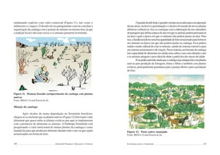 100 Semiárido Piauiense: Educação e Contexto
replantando espécies com valor comercial (Figura 11), tais como o
umbuzeiro e o angico. O desafio do recaatingamento está em conciliar a
regeneração da caatinga com o pastejo de animais na mesma área, já que
a tradição local é não usar cercas e os animais pastarem livremente.
Figura 11. Homem fazendo enriquecimento da caatinga com plantas
nativas
Fonte: IRPAA/ Ivomá Pereira de Sá.
Manejo da caatinga
Após séculos de muita depredação no Semiárido brasileiro,
chegou-seàconclusãoqueasplantasnativas(Figura12)têmmaiorvalor
alimentar que quase todas as plantas exóticas que aqui se implantaram
com a promessa de alimentar os animais. A Embrapa Semiárido está
pesquisando o valor nutricional de muitas plantas da caatinga e como
manejá-lasparaqueproduzamalimentodurantetodooanoouquesejam
armazenadas em forma de feno.
101
Ograndedesafiohojeégarantirotemponecessárioparaarecuperação
dessasáreas,inclusiveagerminaçãoeodesenvolvimentodenovasplantas
arbóreasearbustivas.Issoseconseguecomaelaboraçãodeumcalendário
depastagemquedefinaaépocadoanoemqueosanimaispodempermanecer
na área e qual a época em que os animais não podem pastar na área. Para
isso,afamíliaterádeterumaboaquantidadedefenoarmazenadoparafornecer
aos animais na época em que não podem pastar na caatinga. Essa prática
mudaomodoculturaldecriarosanimais,saindodosistemaextensivopara
umsistemasemiextensivodecriação.Nessesistema,umhectaredecaatinga
temcapacidadedealimentaremmédiaumacabraesuascriasduranteoano
eosanimaisatingemopesoidealdeabateapartirdosdezmesesdeidade.
Essapráticapermiteaindaqueacaatingasejaenriquecidacomplantas
nativas para produção de forragem, frutas e fibras e também com plantas
exóticas,principalmentegramíneasparaopastejodiretoeparaaprodução
defeno.
Figura 12. Pasto nativo manejado
Fonte: IRPAA/ Ivomá Pereira de Sá.
Tecnologias para o Semiárido
 