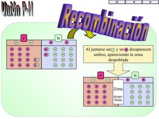 Al juntarse un y un desaparecen
ambos, apareciendo la zona
despoblada
P N
P N
Zona
despo-
blada
 