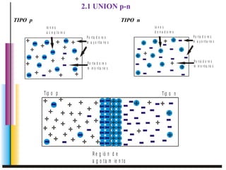 P o r t a d o r e s 
m a y o rit a rio s 
P o r t a d o r e s 
m in o r it a r io s 
Io n e s 
d o n a d o re s 
TIPO p TIPO n 
P o r t a d o r e s 
m a y o r it a r io s 
P o r t a d o r e s 
m in o r it a r io s 
Io n e s 
a c e p t o r e s 
2.1 UNION p-n 
Tip o p Tip o n 
R e g ió n d e 
a g o t a m ie n t o 
 