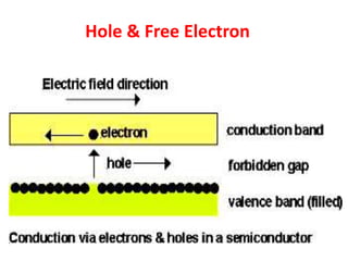Hole & Free Electron
 