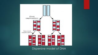 SEMI CONSERVATIVE NATURE OF DNA REPICATION PPT.pptx