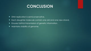 SEMI CONSERVATIVE NATURE OF DNA REPICATION PPT.pptx