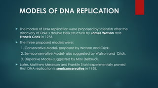 SEMI CONSERVATIVE NATURE OF DNA REPICATION PPT.pptx