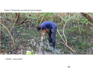 FONTE: Autor (2022)
Figura 7. Pesquisador em coleta de solo de mangue.
10
 