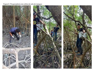 11
Figura 8. Pesquisadores em coleta de solo de mangue.
FONTE: Autor (2022)
 